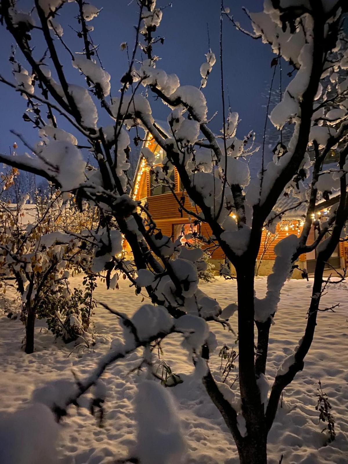 Moonlake Chalet Gainesti Exteriör bild