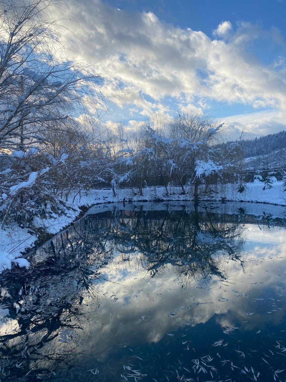 Moonlake Chalet Gainesti Exteriör bild